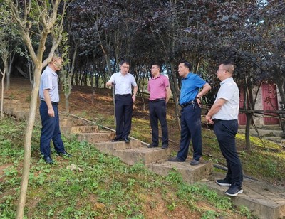 省林業(yè)局副局長(zhǎng)傅強(qiáng)一行赴施秉縣指導(dǎo)國(guó)儲(chǔ)林及林下經(jīng)濟(jì)建設(shè)與林業(yè)產(chǎn)品銷售工作