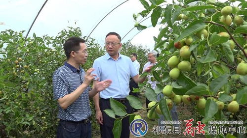 市林業局深入我縣開展林業工作調研 聚焦產業發展，助力林產品銷售升級