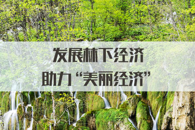 發展林下經濟，拓展銷售渠道，讓‘美麗經濟’更富生機