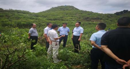 遵義市林業局 構建綠色產業體系，推動林業產品銷售高質量發展